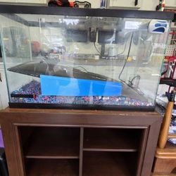 29 Gallon Fish Tanks With Stand & Accessories