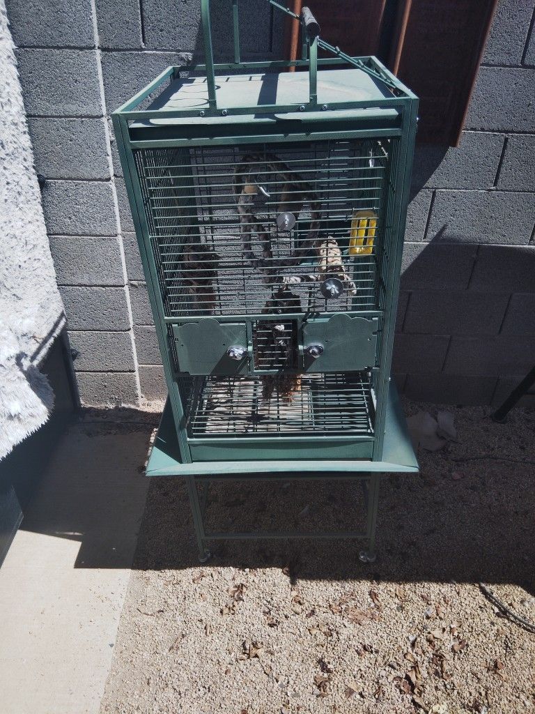 Bird Cage