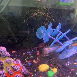 Fish Tank Aquarium Decor Toy