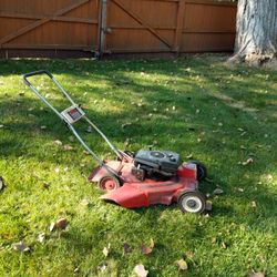 Classic 22" Mower