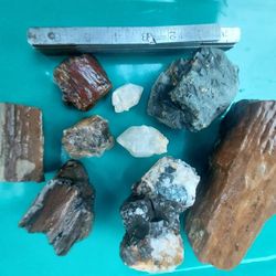 FOSSILIZED  WOOD  QUARTZ CRYSTALS