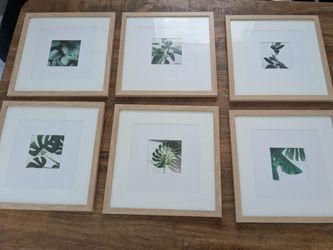 Set of 6 square frames botanical prints