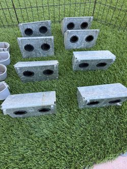 Bird Breeding Supplies