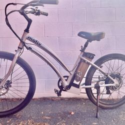 Motiv E Bike Beach Cruiser