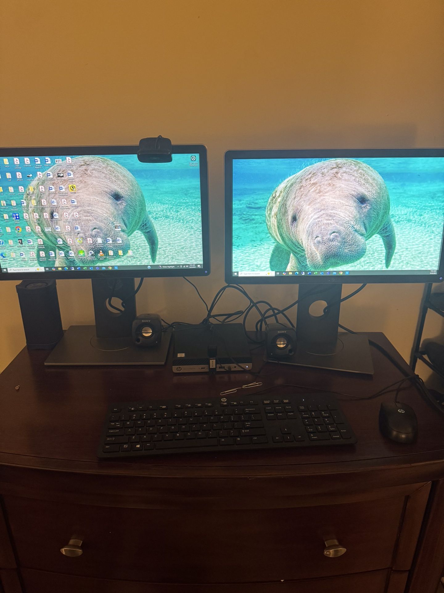 HP 800 G3 Mini Computer