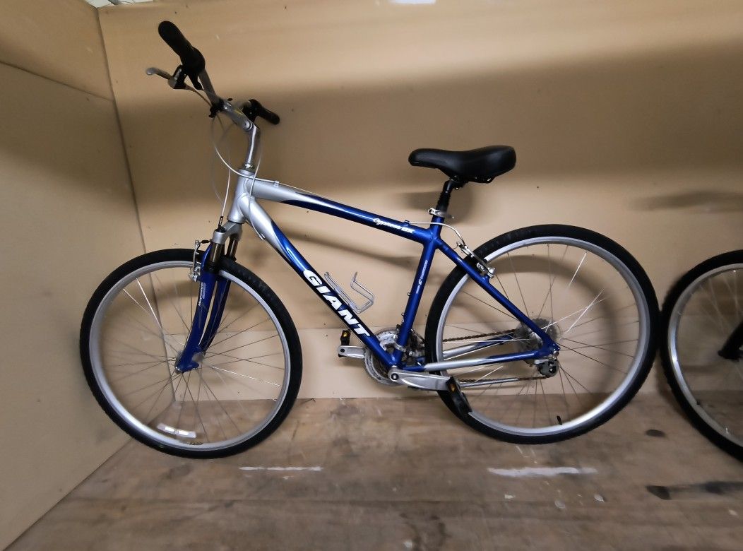 Giant Bike