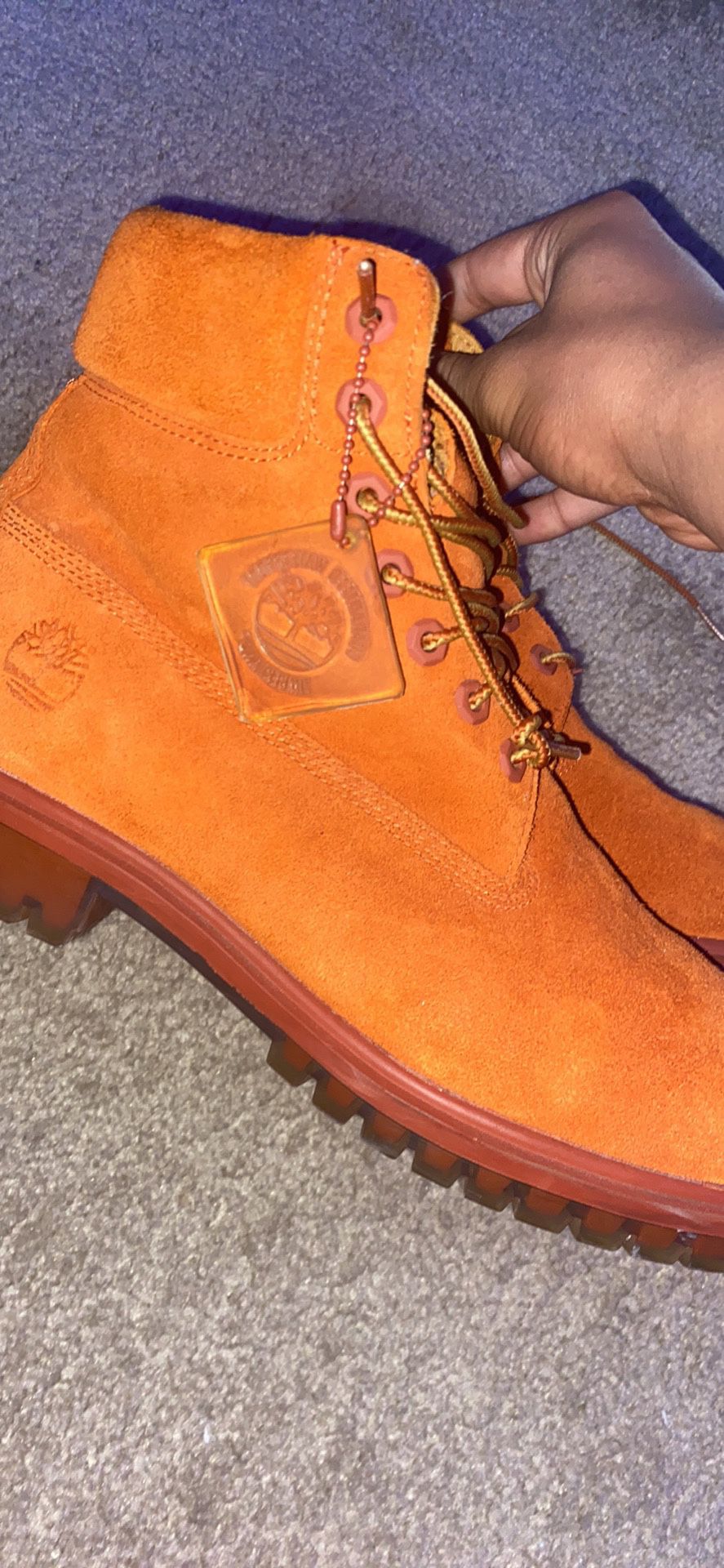 LIMITED EDITION  AUTUMN TIMBERLANDS