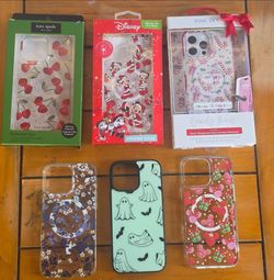 iPhone 16 Pro Max cases