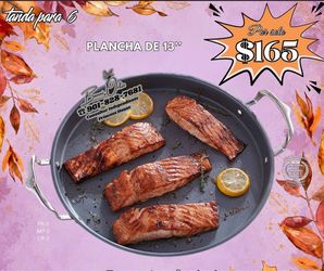 Princess house  plancha13”