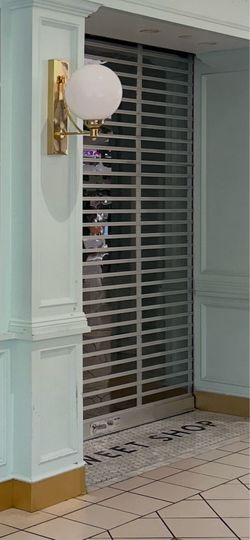 Roll up security door