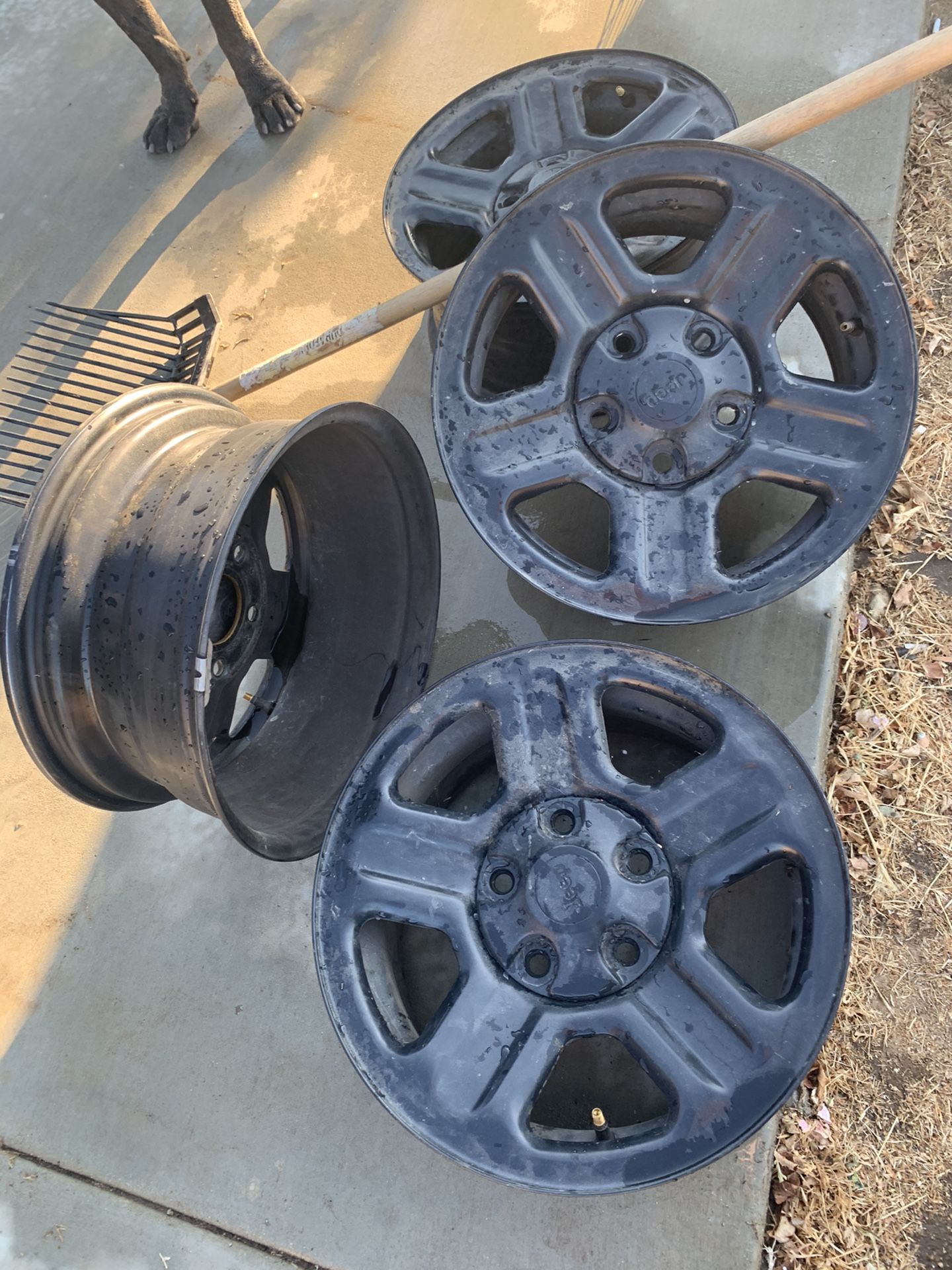 Jeep jk stock black wheels