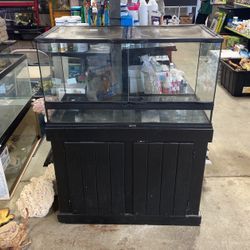 40 gallon breeder premium Reptile habitat