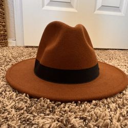 Brown Felt Hat