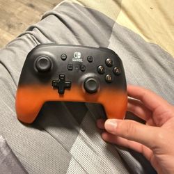 Nintendo Switch Controller