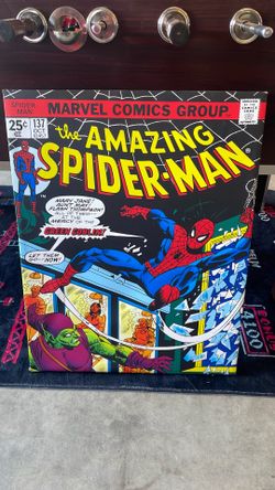 Marvel Spiderman Canvas