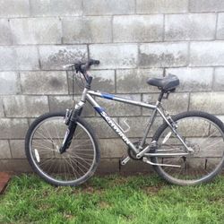 Adult Bike