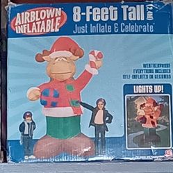 Lightup Reinfdee inflatable