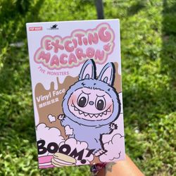 Exciting Macaroon Labubu