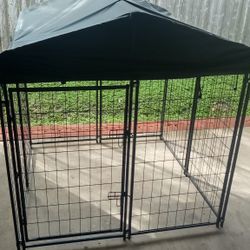 Dog Kennel 