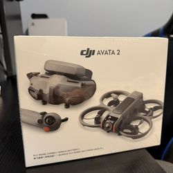 DJI Avata 2 Fly More Combo (1 Battery)