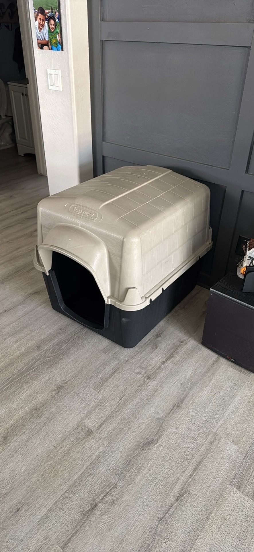Dog house