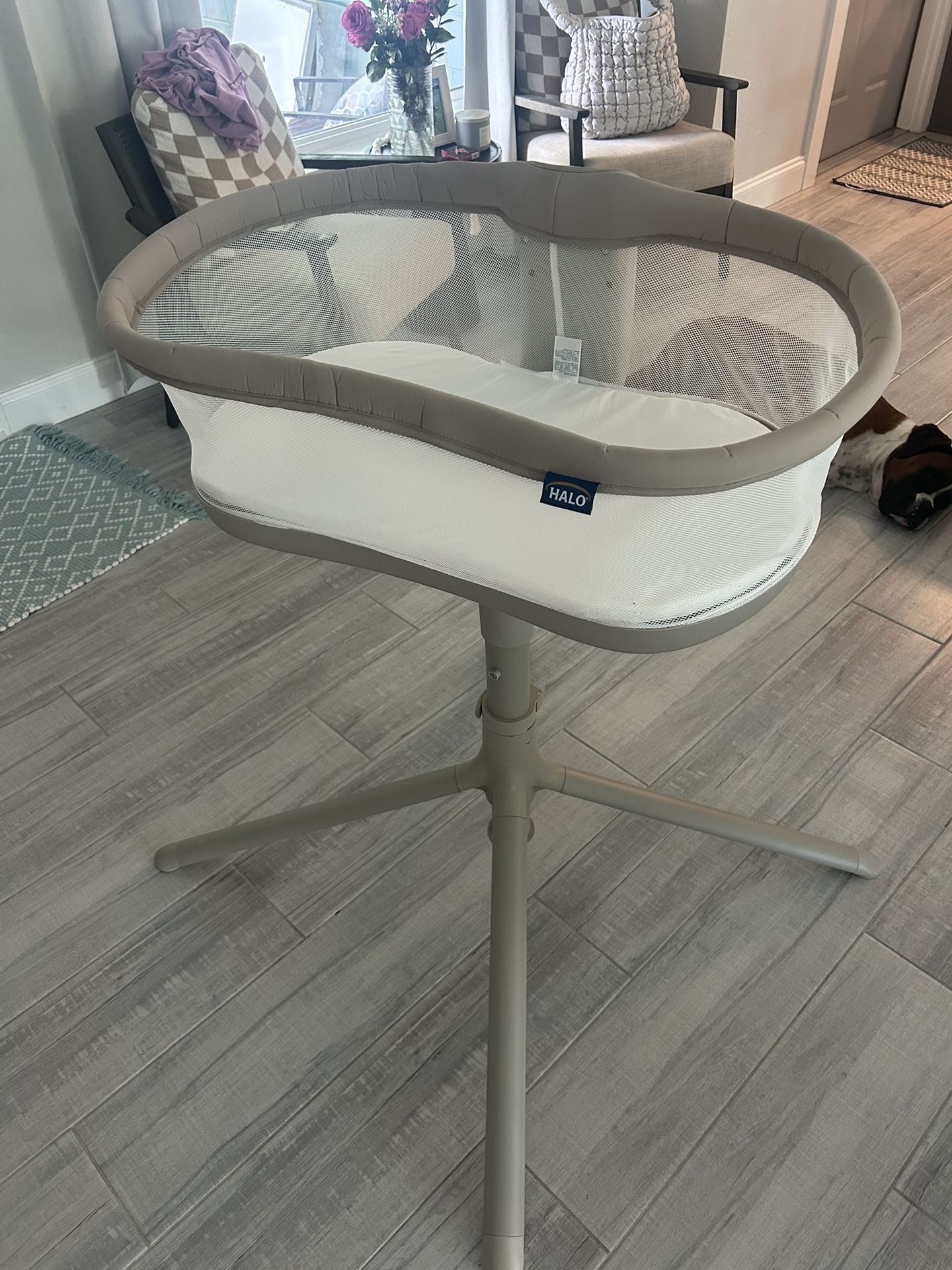 Baby Bassinet