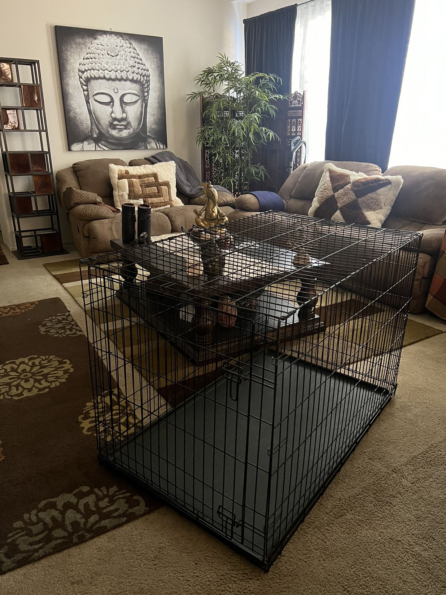 Dog Kennel XXL