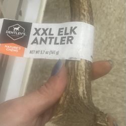 Moose And Elk Antlers For Dogs To Chew