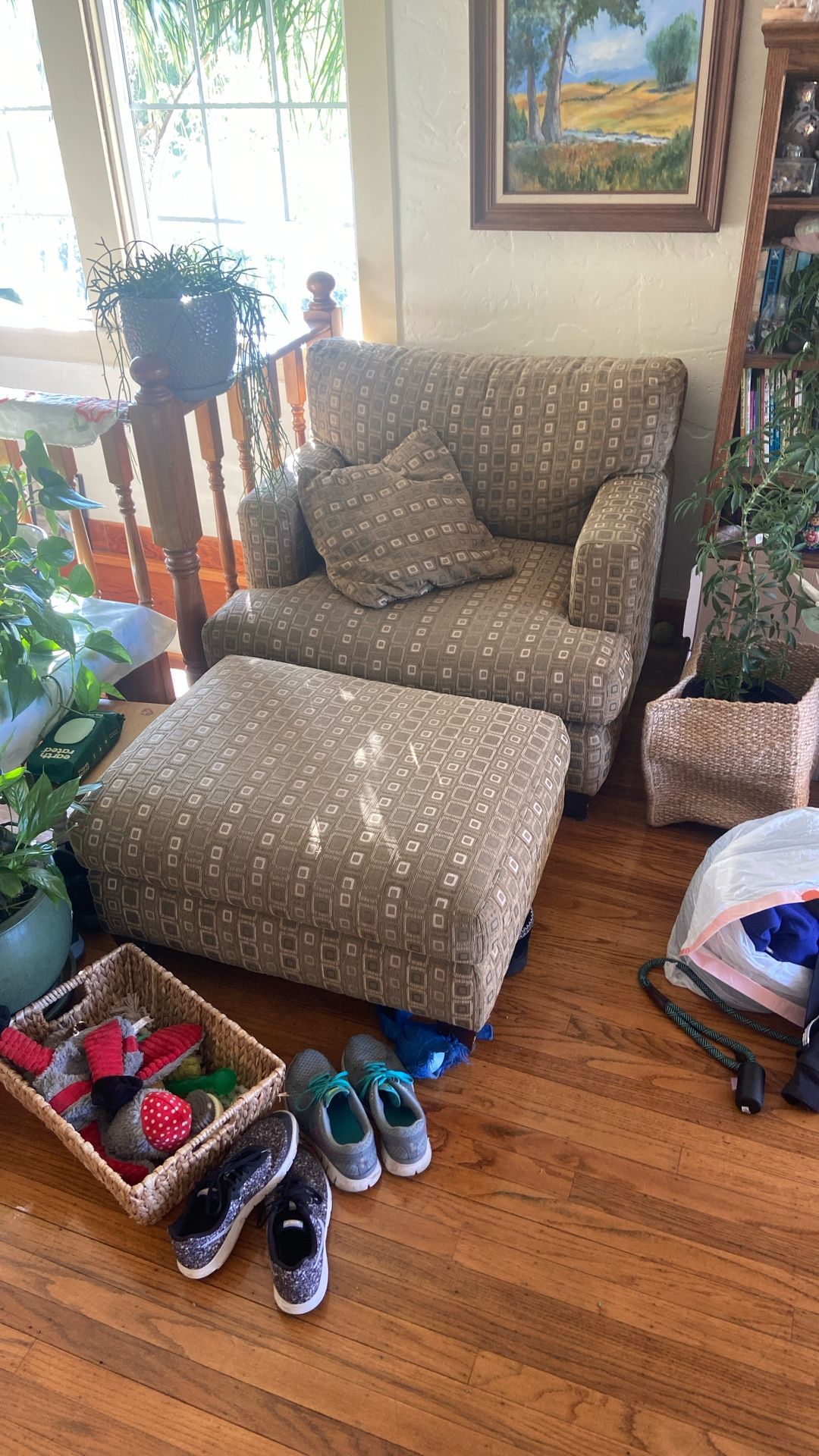 Comfy Chair With Ottoman 