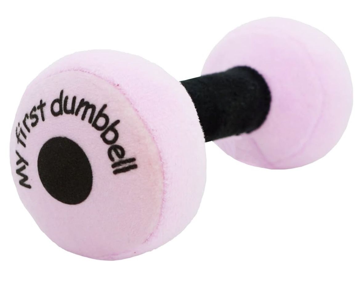 June Garden 6" My First Dumbbell - Plush Baby Rattle Toy - Safe Soft Barbell Workout Toy for Infants Boys and Girls - Pink