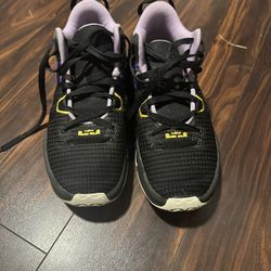 LeBrons Basketball Shoes