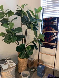 Large Artificial Fiddle Leaf Fig Tree