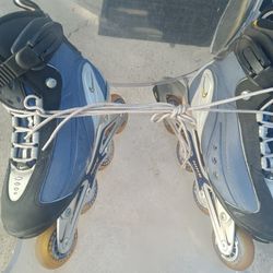 Nike Skates