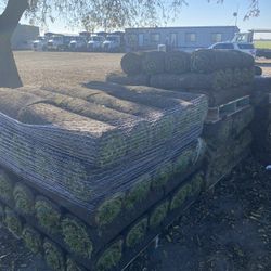 1000 Sq Foot Leftover 