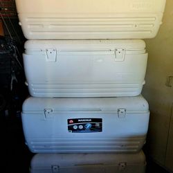 Igloo max cold cooler 150qt