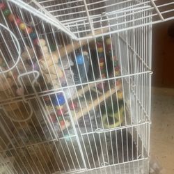 Bird Cage With Toys