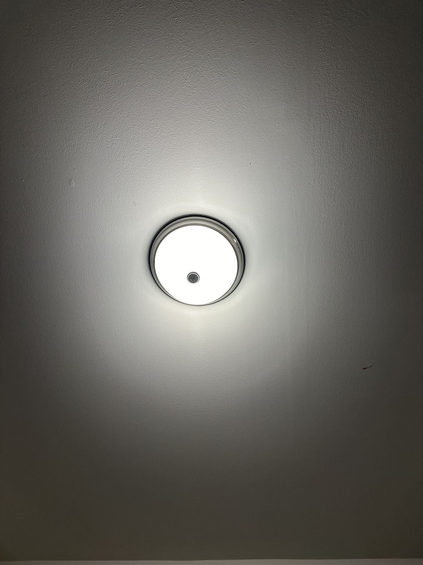 Silver Ceiling Mount Lamp