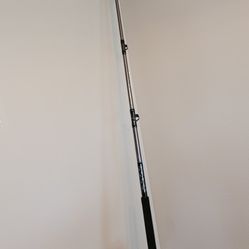 Penn Fishing Pole With Senator Reel