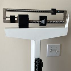 Height/weight Scale