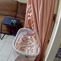 HALO® BassiNest® Lite/inside Pad/Pink Canopy