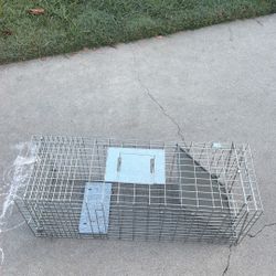 Animal trap 