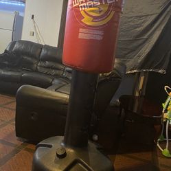 Punching Bag