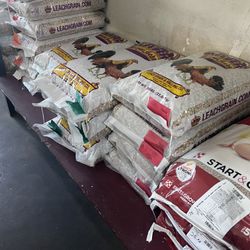 All Types Of Bird Feed