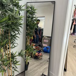 64 Inch X 24 Inch Mirror 