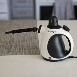 HANDLHELD PRESSURIZED STEAMER
