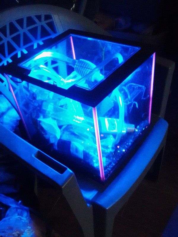 Fish Tank