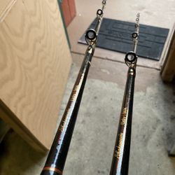 Fishing Rod 