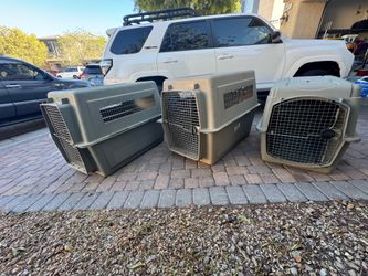 Dog kennels
