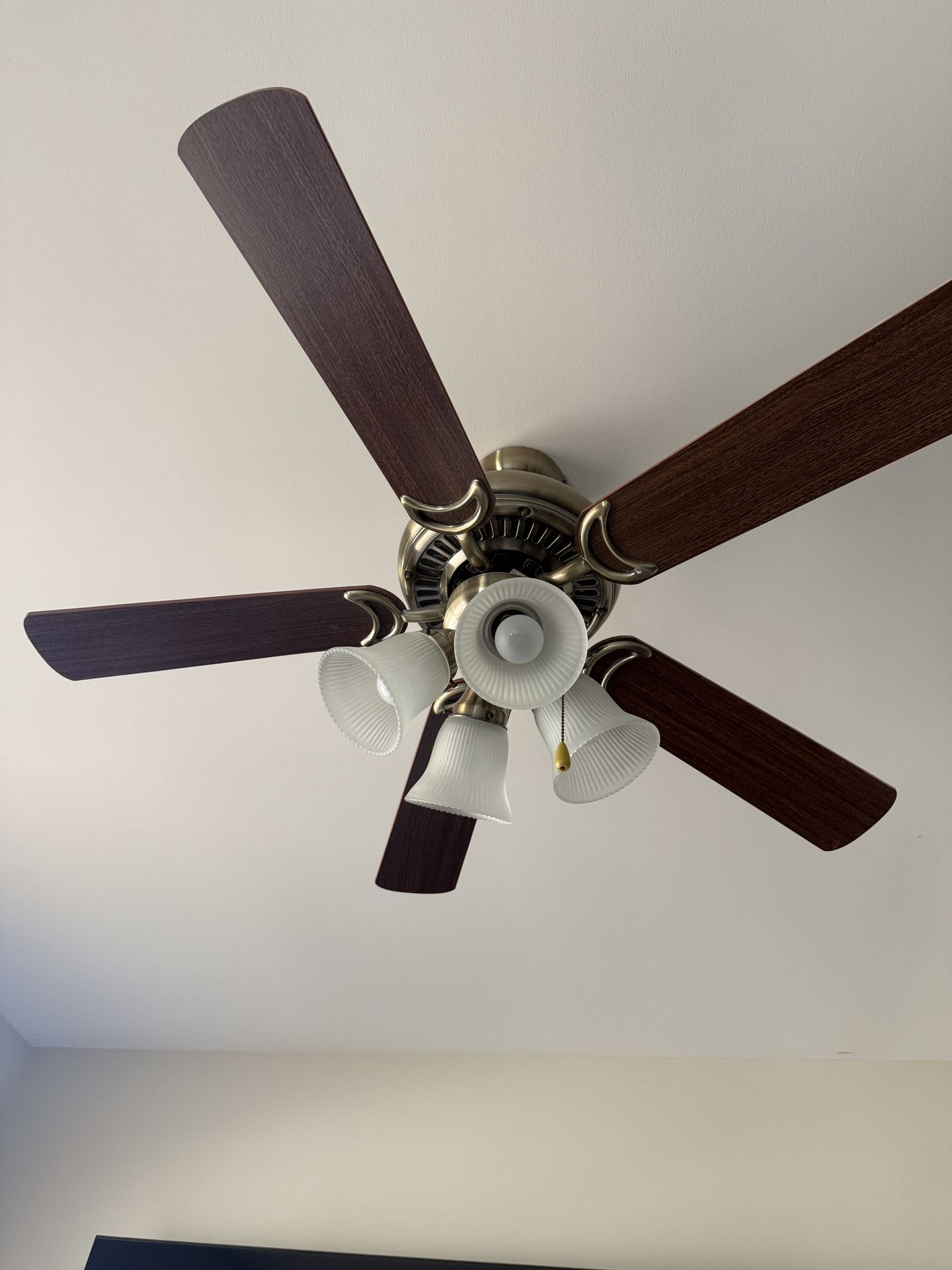 Ceiling fan with 4 Lights