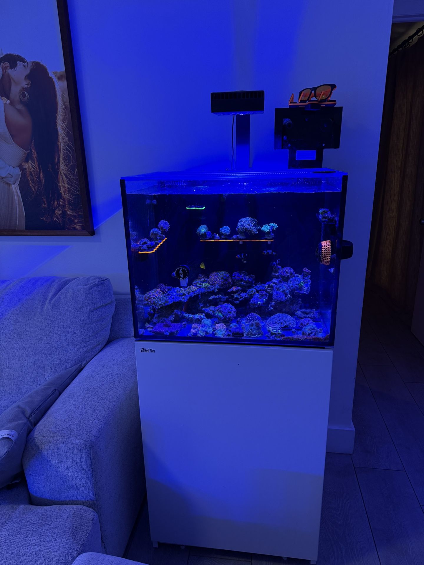 Innovative Marine Aquarium